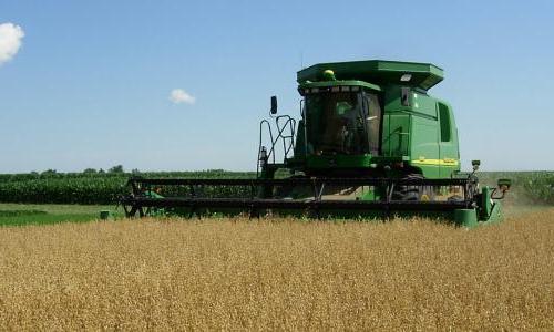 An oat harvester in a field.